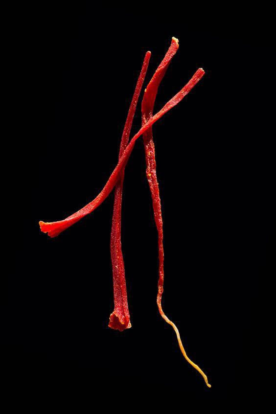 Pure Kashmiri Saffron | 1g