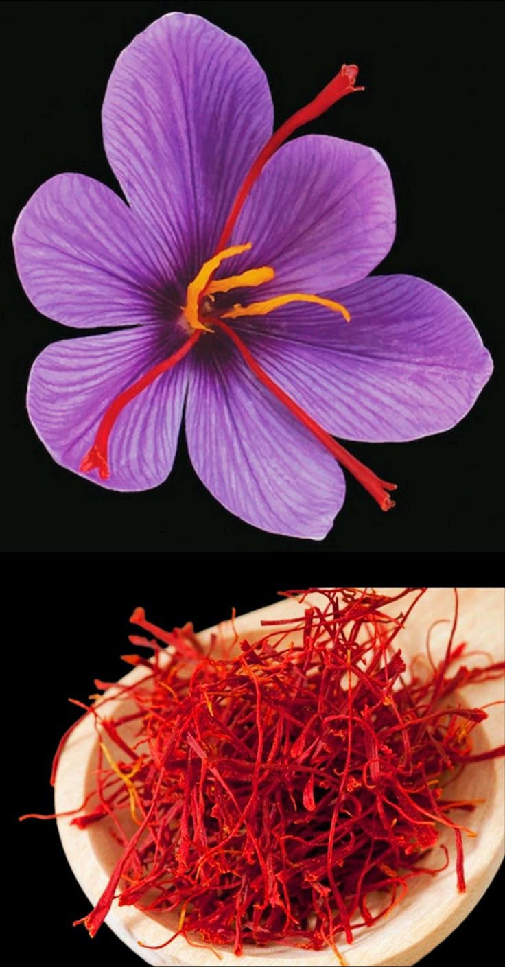 Pure Kashmiri Saffron | 1g